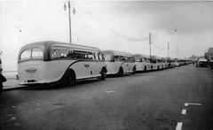 Hastings-Day-Trip-Coaches-Parked-on-the-new-promenade.-1936.